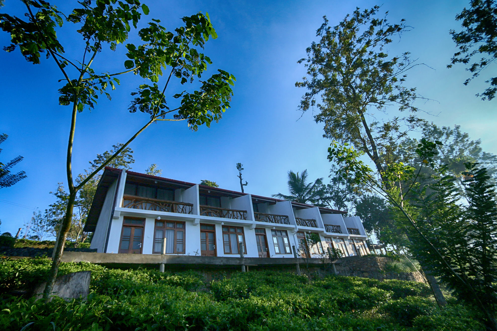 The Tea Tree Resort Ella Eksteriør bilde